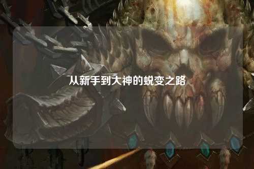 从新手到大神的蜕变之路