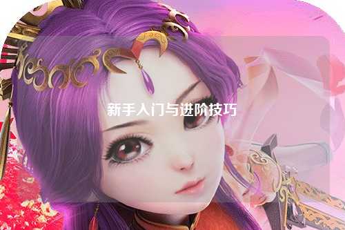 新手入门与进阶技巧