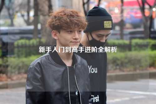 新手入门到高手进阶全解析