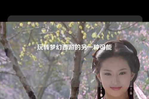 玩转梦幻西游的另一种可能