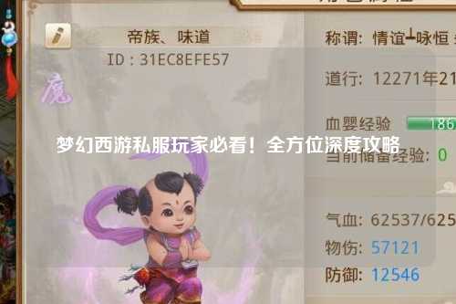 梦幻西游私服玩家必看!全方位深度攻略