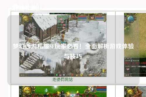 梦幻西游私服SF玩家必看！全面解析游戏体验与技巧