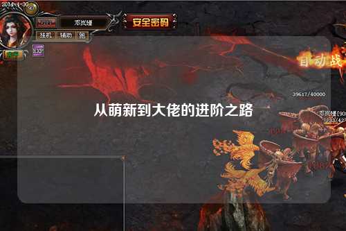 从萌新到大佬的进阶之路