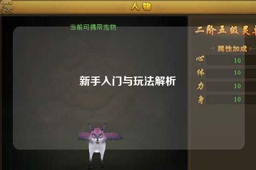 新手入门与玩法解析