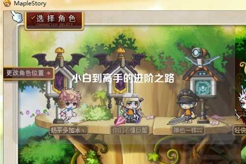 小白到高手的进阶之路