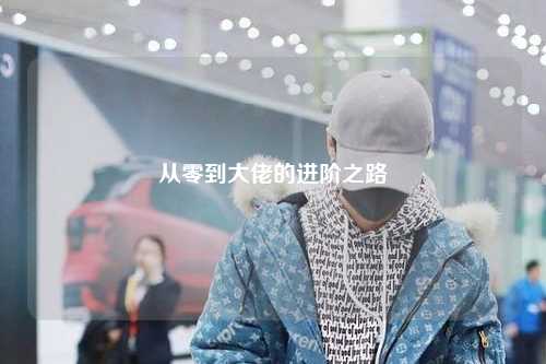 从零到大佬的进阶之路