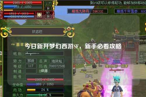今日新开梦幻西游SF,新手必看攻略