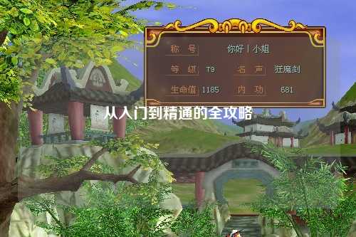 从入门到精通的全攻略