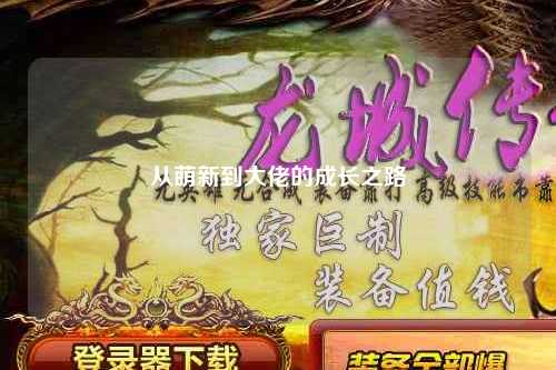 从萌新到大佬的成长之路