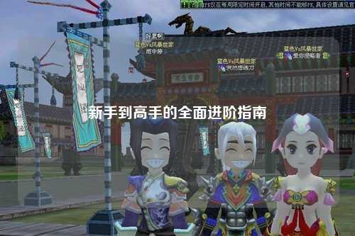 新手到高手的全面进阶指南