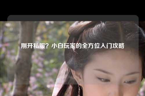 刚开私服？小白玩家的全方位入门攻略