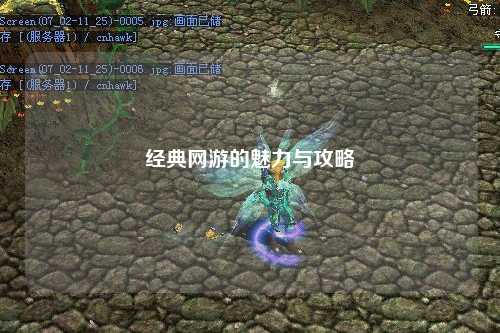 经典网游的魅力与攻略