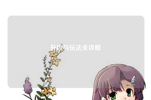 升级与玩法全攻略