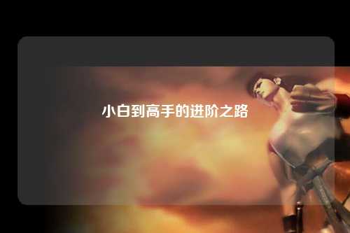 小白到高手的进阶之路