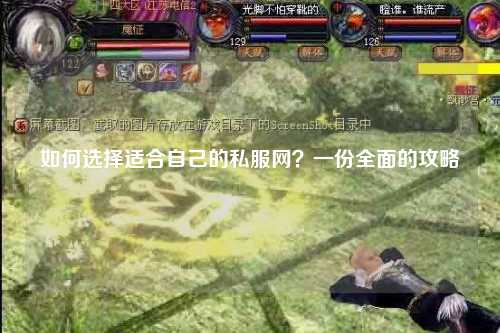 如何选择适合自己的私服网？一份全面的攻略