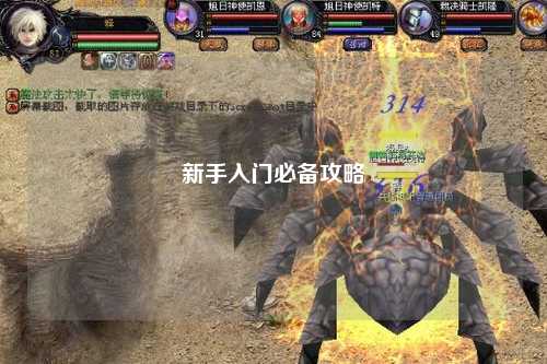 新手入门必备攻略
