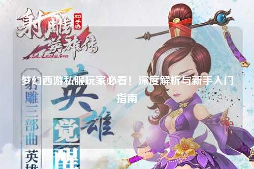 梦幻西游私服玩家必看!深度解析与新手入门指南