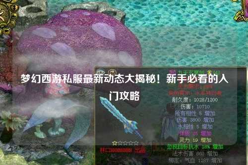 梦幻西游私服最新动态大揭秘!新手必看的入门攻略
