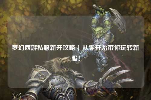 梦幻西游私服新开攻略 | 从零开始带你玩转新服!