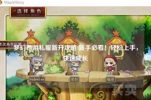 梦幻西游私服新开攻略 新手必看!轻松上手,快速成长