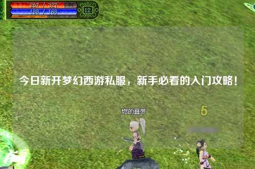 今日新开梦幻西游私服，新手必看的入门攻略！